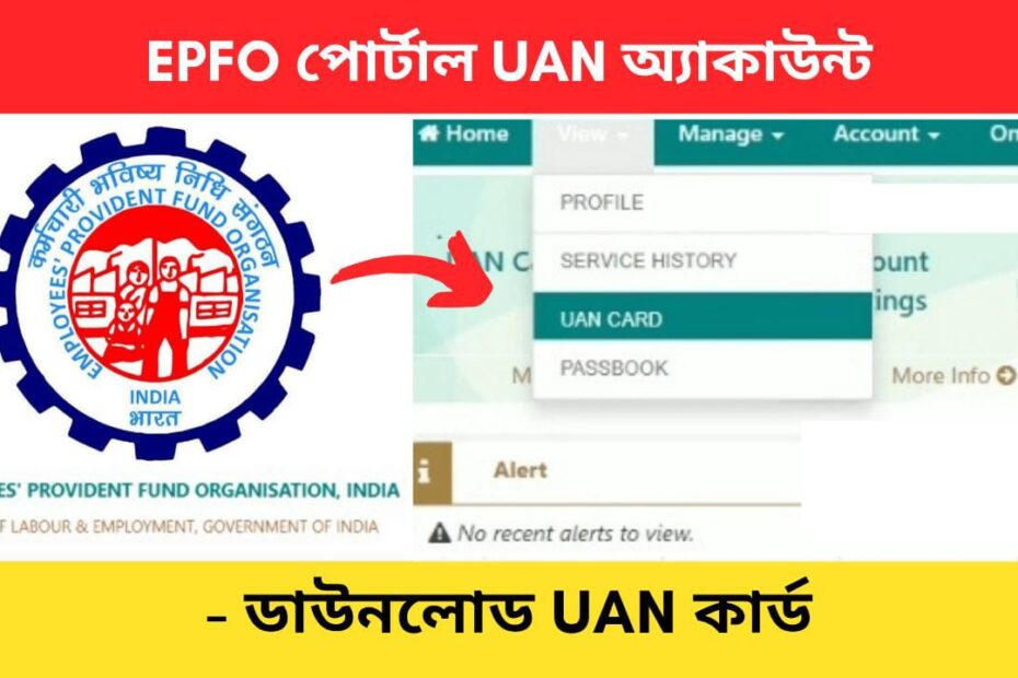 PF Account UAN Card PDF download